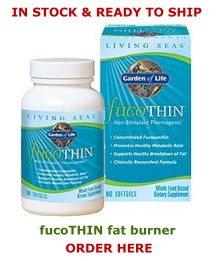 fucoTHIN fat burner